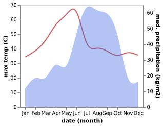 temperature and rainfall during the year in Dhanwar