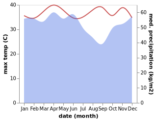 temperature and rainfall during the year in Muarabulian