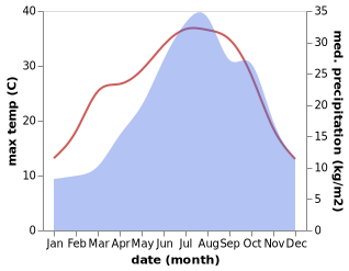temperature and rainfall during the year in Cerro Maggiore