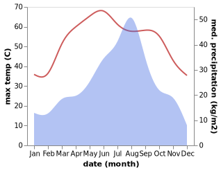 temperature and rainfall during the year in Darya Khan Marri