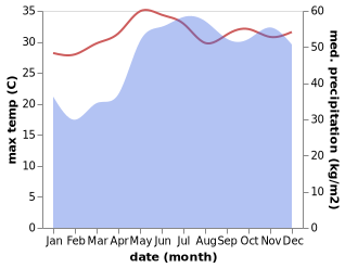 temperature and rainfall during the year in Binonga