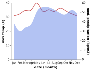 temperature and rainfall during the year in Lapu-Lapu City