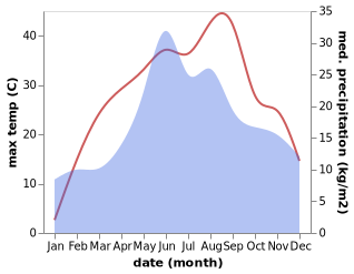 temperature and rainfall during the year in Bivolari
