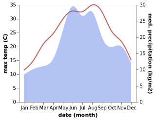 temperature and rainfall during the year in Dunavatu de Jos