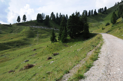 Cavalese Destination Guide (Trentino-Alto Adige, Italy) - Trip-Suggest