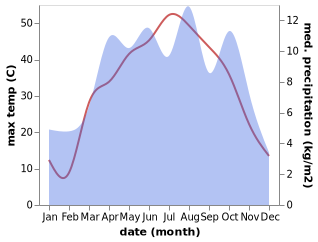 temperature and rainfall during the year in Bagrami