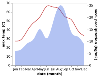 temperature and rainfall during the year in Timimoun