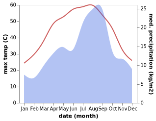 temperature and rainfall during the year in Messaad