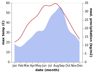 temperature and rainfall during the year in Debila