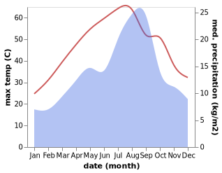 temperature and rainfall during the year in Metlili Chaamba