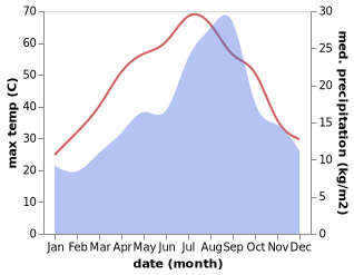 temperature and rainfall during the year in El Hadjira