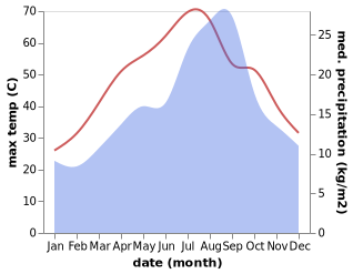 temperature and rainfall during the year in Rouissat