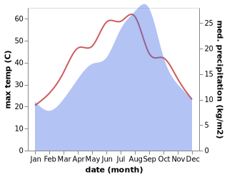 temperature and rainfall during the year in Bir el Ater