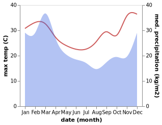 temperature and rainfall during the year in Bangalow