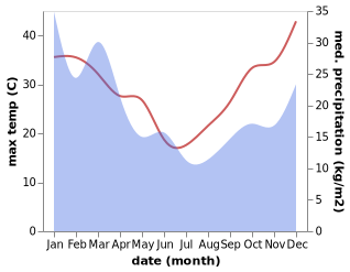 temperature and rainfall during the year in Basin View
