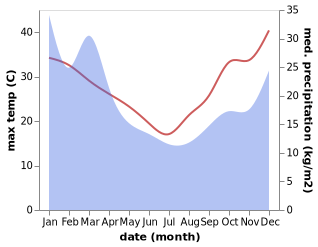 temperature and rainfall during the year in Bermagui