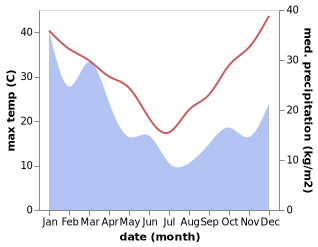 temperature and rainfall during the year in Bringelly