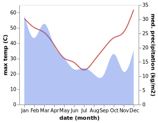 temperature and rainfall during the year in Collarenebri