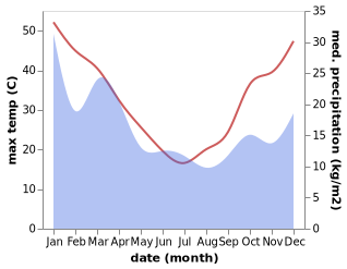 temperature and rainfall during the year in Cudal