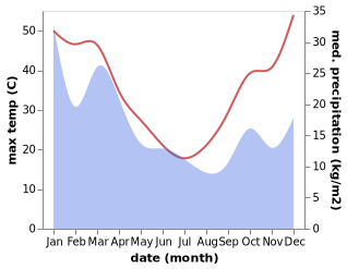 temperature and rainfall during the year in Dubbo