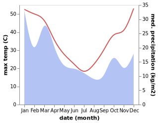 temperature and rainfall during the year in Narromine