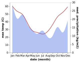 temperature and rainfall during the year in Wilcannia