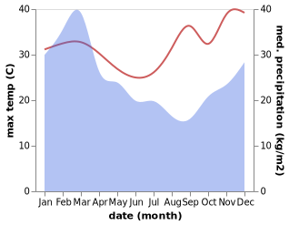 temperature and rainfall during the year in Avondale