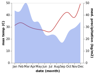 temperature and rainfall during the year in Ayr