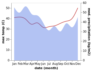 temperature and rainfall during the year in Bamaga