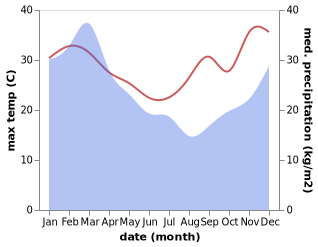 temperature and rainfall during the year in Buderim