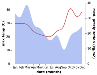 temperature and rainfall during the year in Millaa Millaa