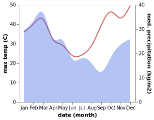 temperature and rainfall during the year in Nebo