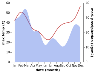 temperature and rainfall during the year in Sapphire