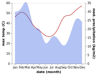 temperature and rainfall during the year in Springsure