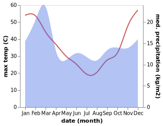 temperature and rainfall during the year in Chidlow