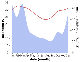 temperature and rainfall during the year in Dampier