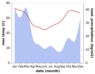 temperature and rainfall during the year in Marble Bar