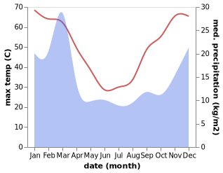 temperature and rainfall during the year in Mount Magnet