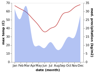 temperature and rainfall during the year in Newman