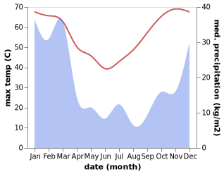 temperature and rainfall during the year in Nullagine