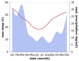 temperature and rainfall during the year in Tom Price