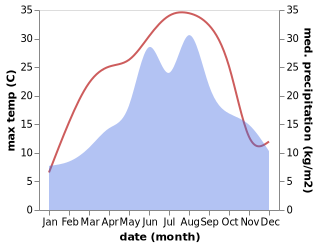 temperature and rainfall during the year in Baumgarten im Burgenland