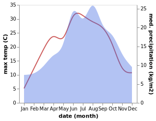 temperature and rainfall during the year in Afiesl