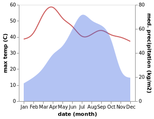 temperature and rainfall during the year in Char Bhadrasan