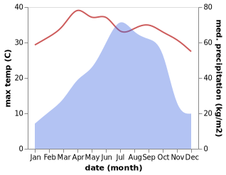 temperature and rainfall during the year in Palang
