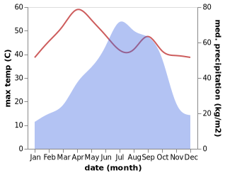 temperature and rainfall during the year in Shahzadpur