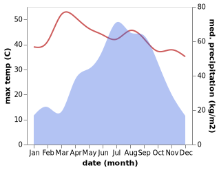 temperature and rainfall during the year in Pirgaaj