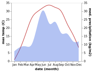 temperature and rainfall during the year in Mazyr