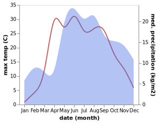 temperature and rainfall during the year in Braslaw