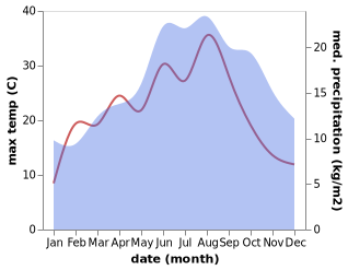 temperature and rainfall during the year in Bellingen